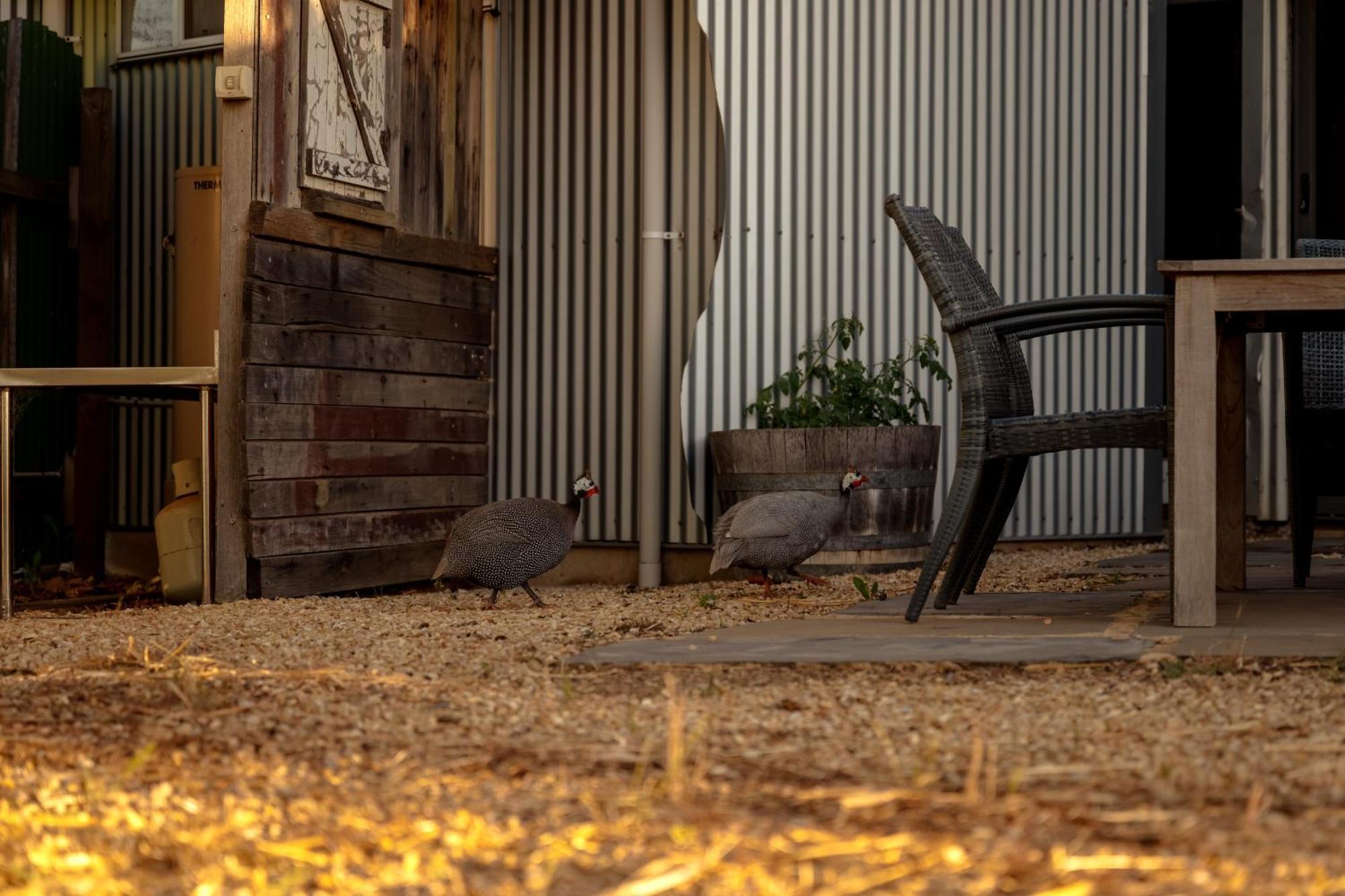 Bed In A Shed Vineyard Stay Watervale 外观 照片