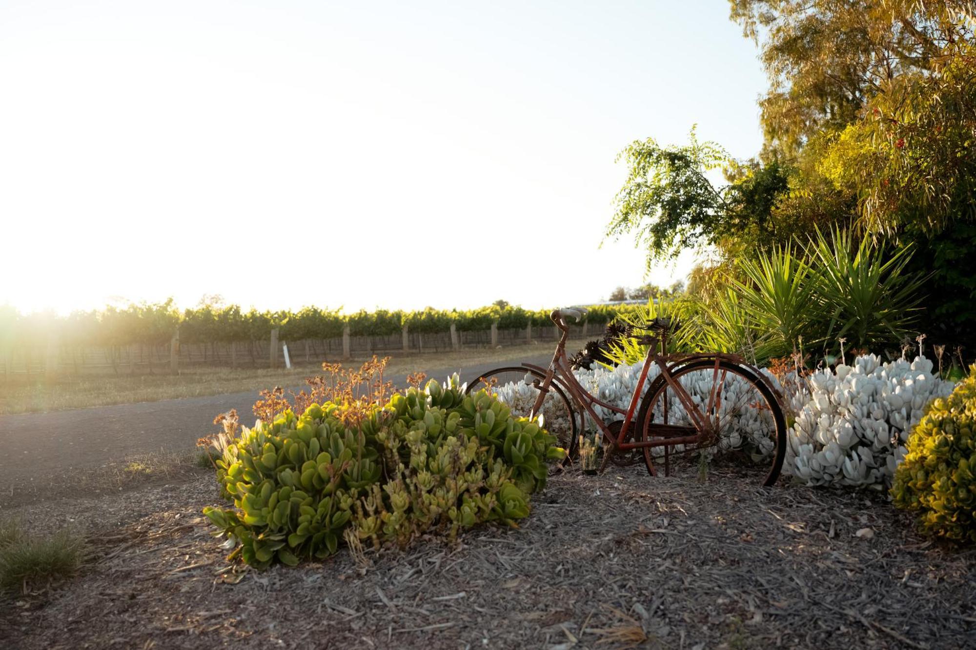 Bed In A Shed Vineyard Stay Watervale 外观 照片
