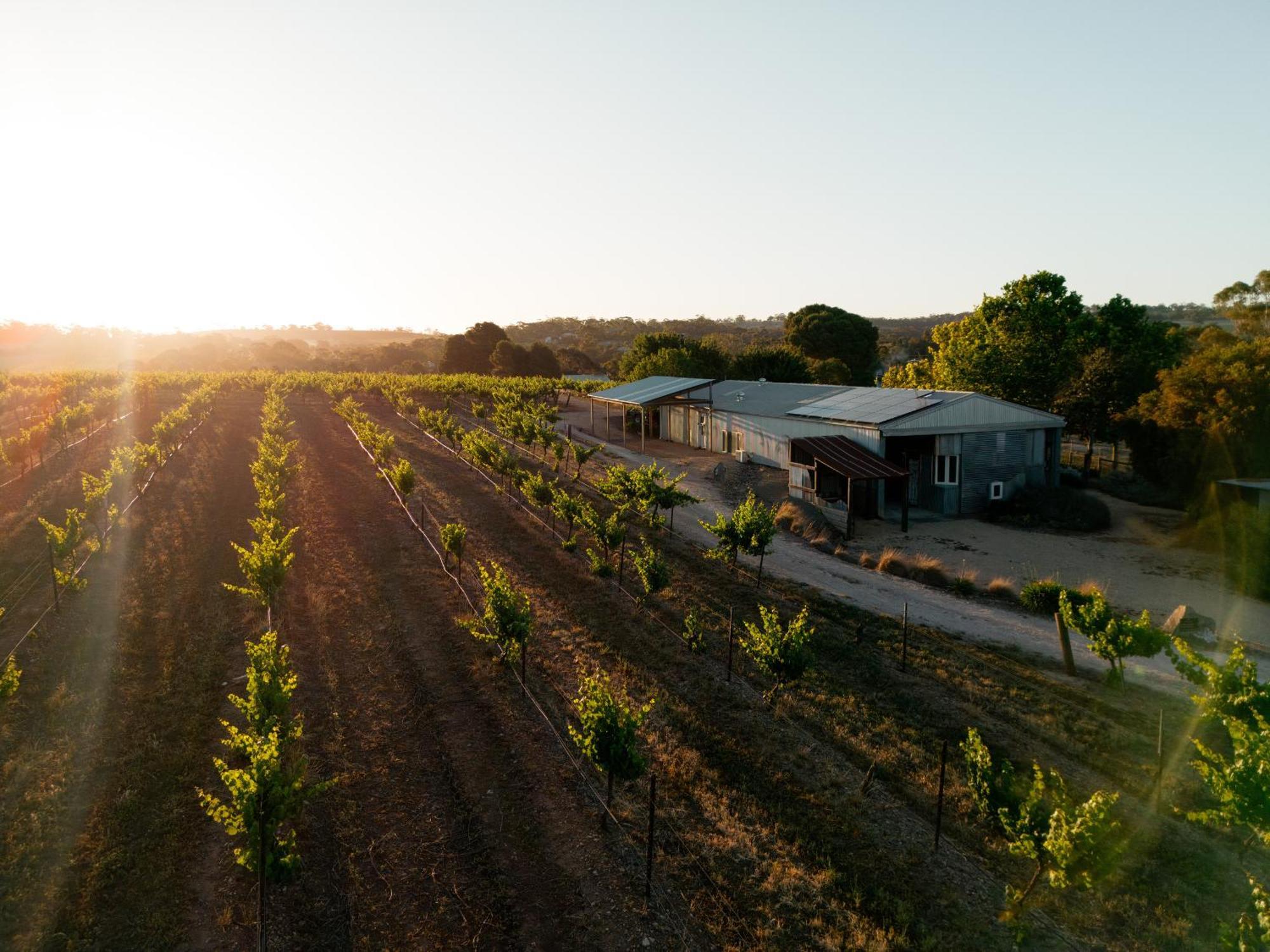 Bed In A Shed Vineyard Stay Watervale 外观 照片