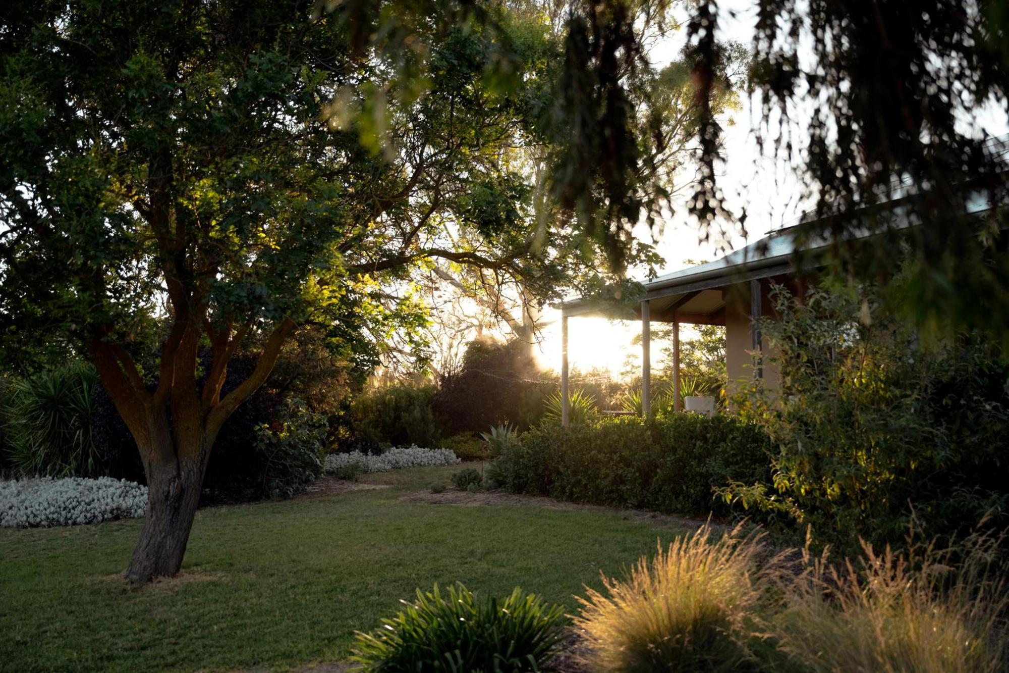 Bed In A Shed Vineyard Stay Watervale 外观 照片